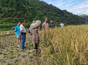 州農(nóng)業(yè)農(nóng)村局到我公司開展 2023年度綠色食品續(xù)展現(xiàn)場檢查工作